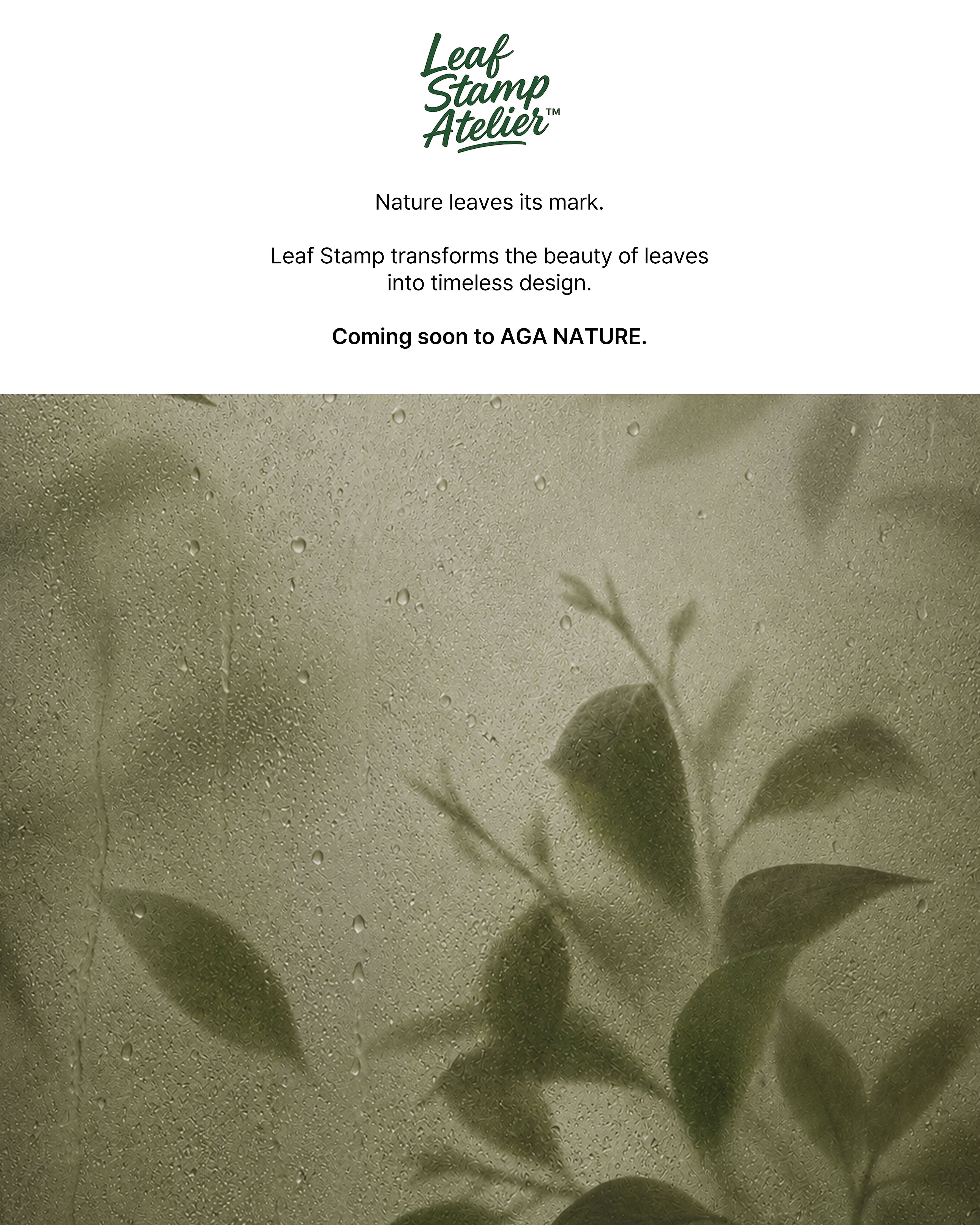LEAF