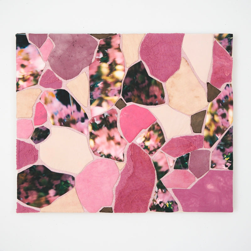 Plum Blossoms and Prickly Pear,