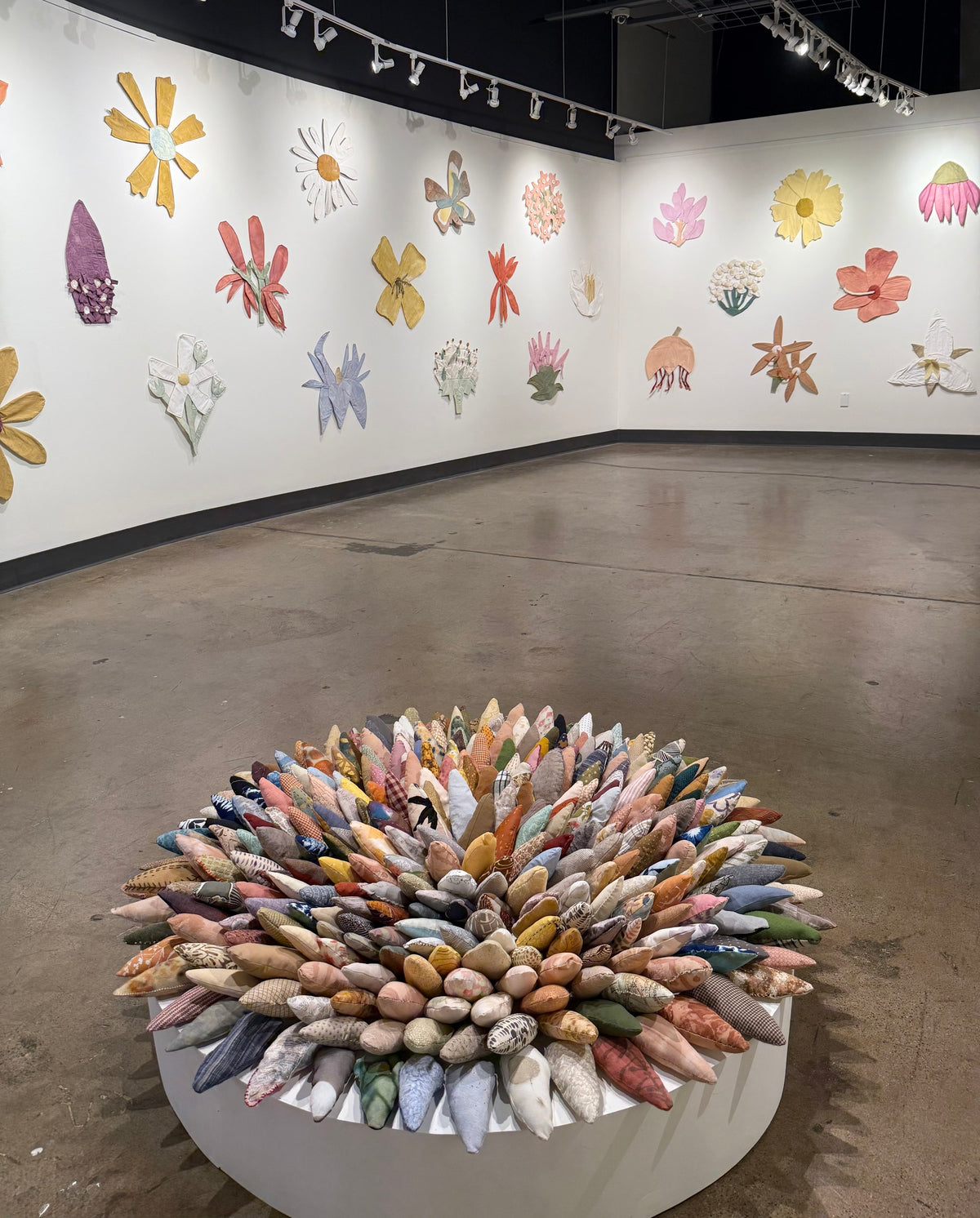 A Galaxy of Wildflowers,2025 with Sowing Seeds