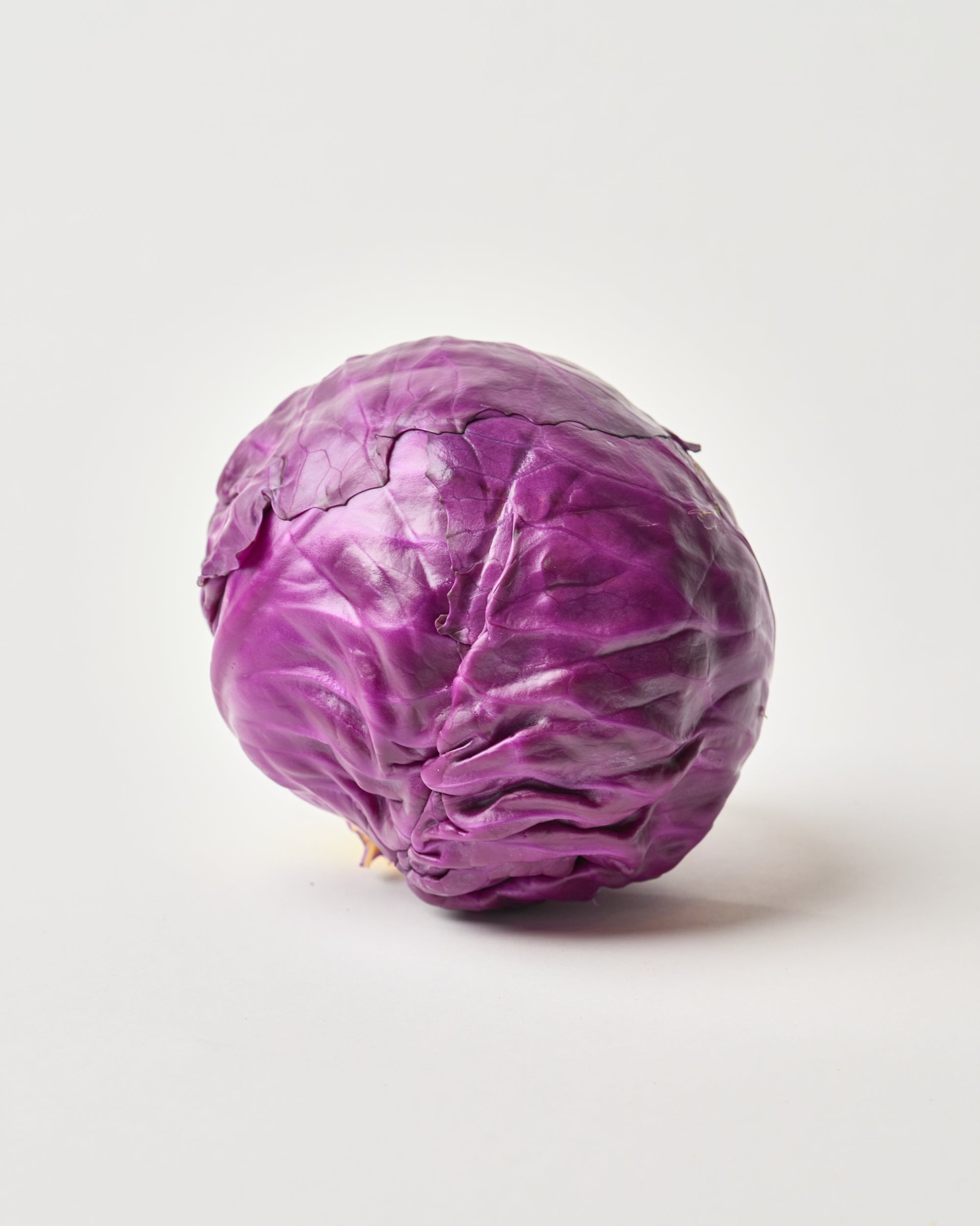 Red Cabbage-Dyed Modal Jersey Tank Top